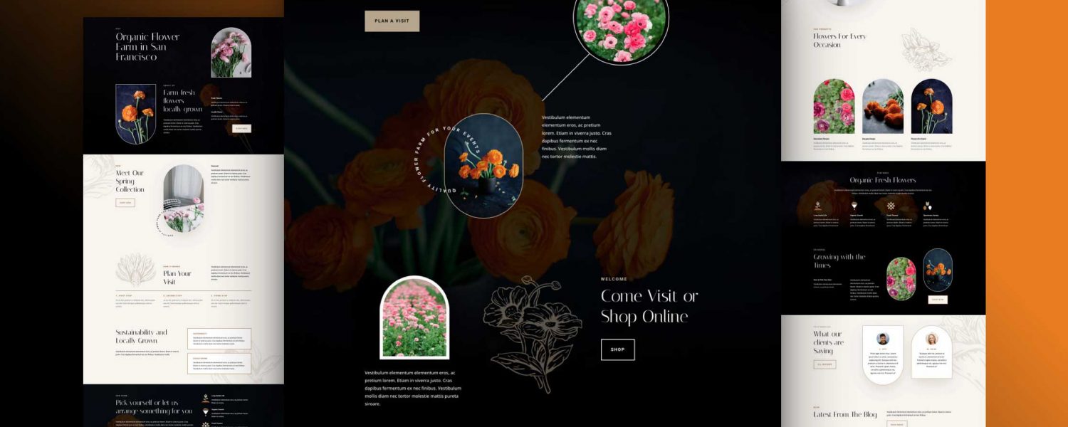 Divi Flower farm layout pack featured image