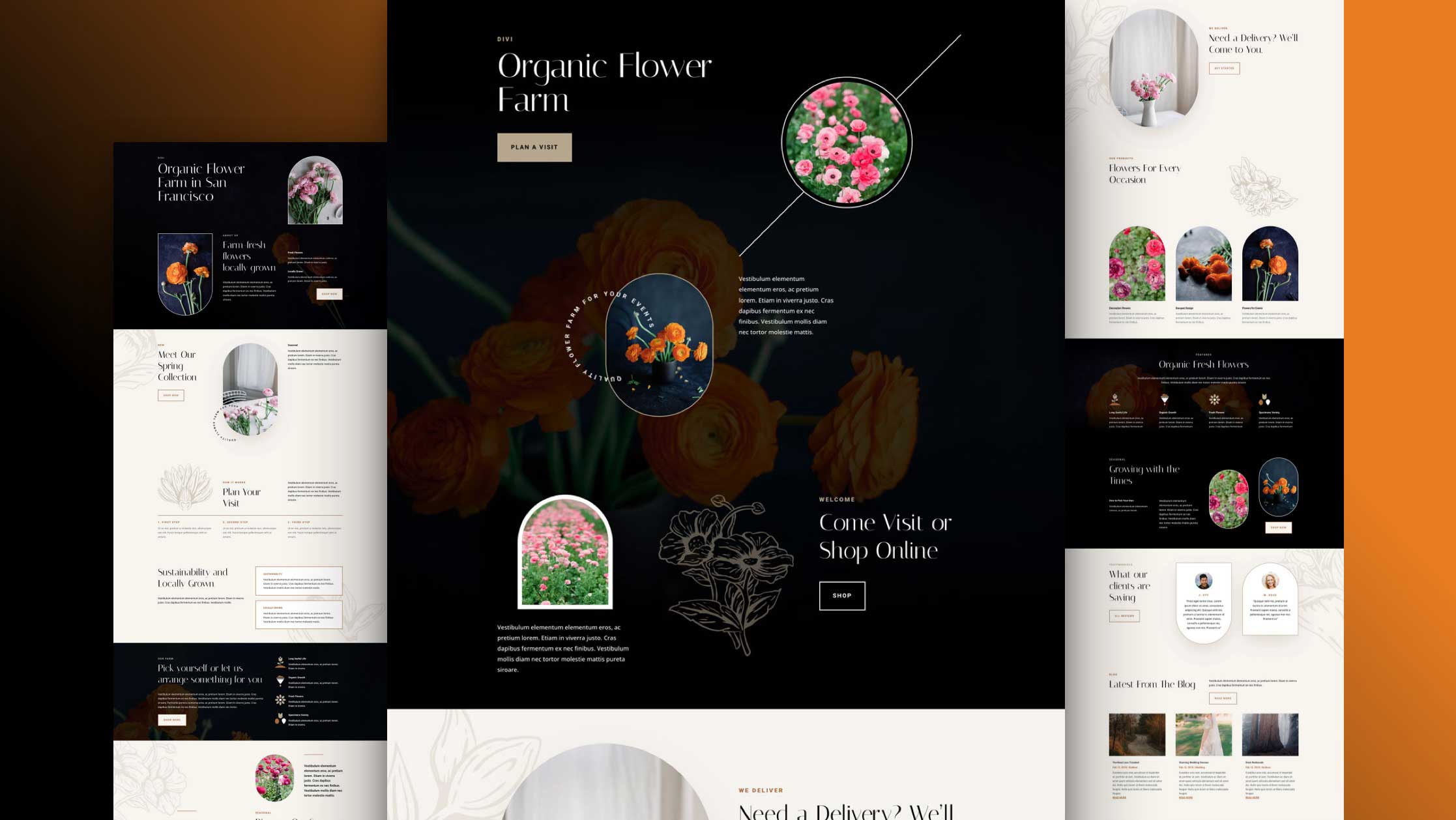 Divi Flower farm layout pack featured image